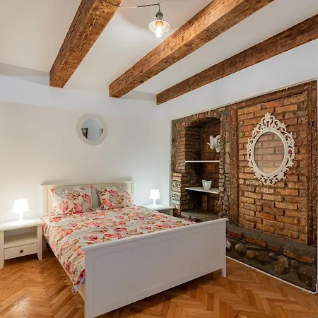Hirscher Historic Apartment Brasov